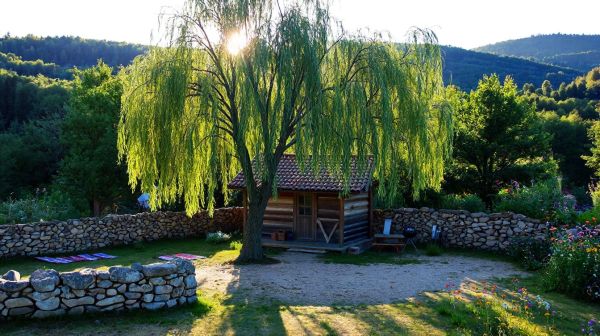 Top 10 raisons d'explorer le camping en ardèche cette année